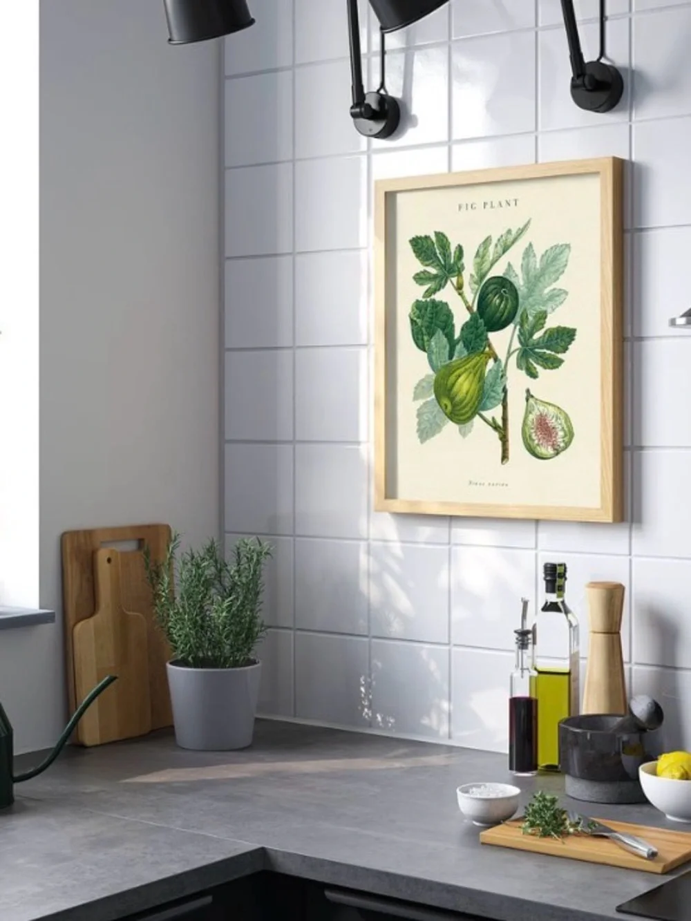 IKEA BILD Poster, fig plant, 16x20 